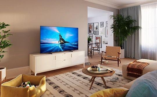 Smart TV and entertainment appliance service